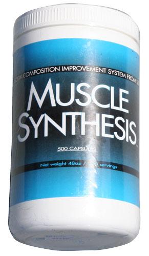 Muscle Synthesis